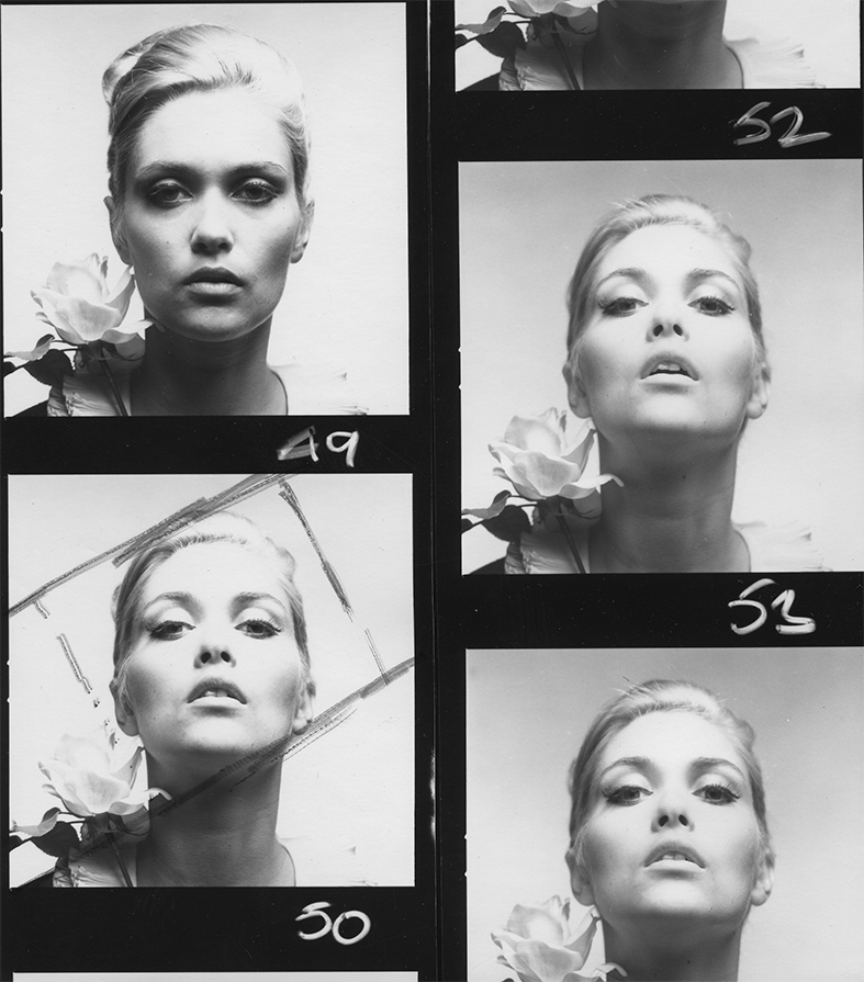 Alexandra bastedo photos